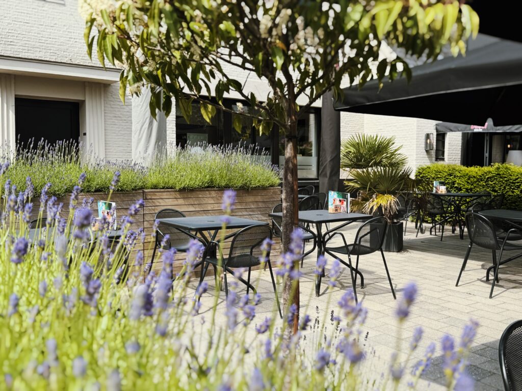terras ekeren