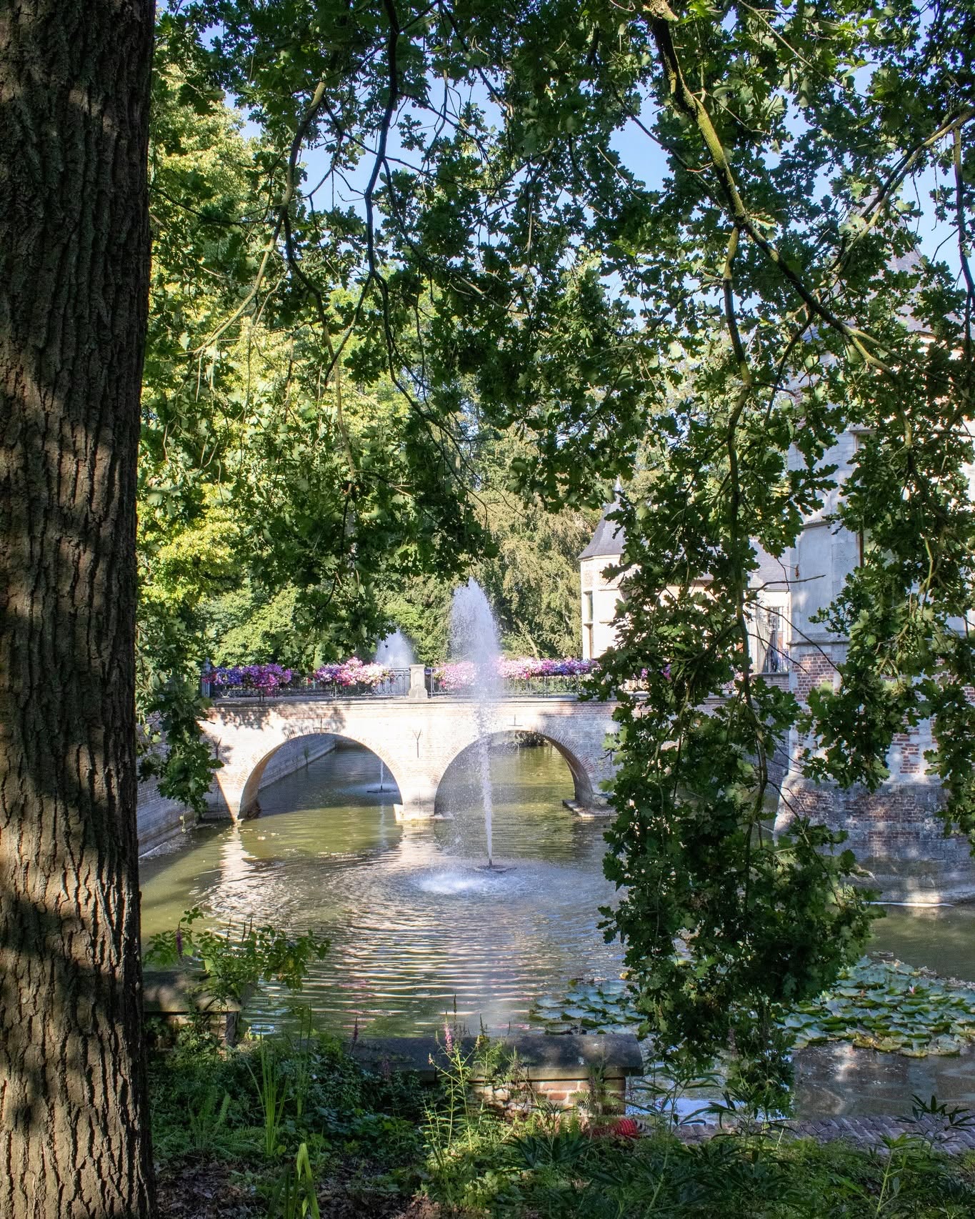 wandelen in Ekeren